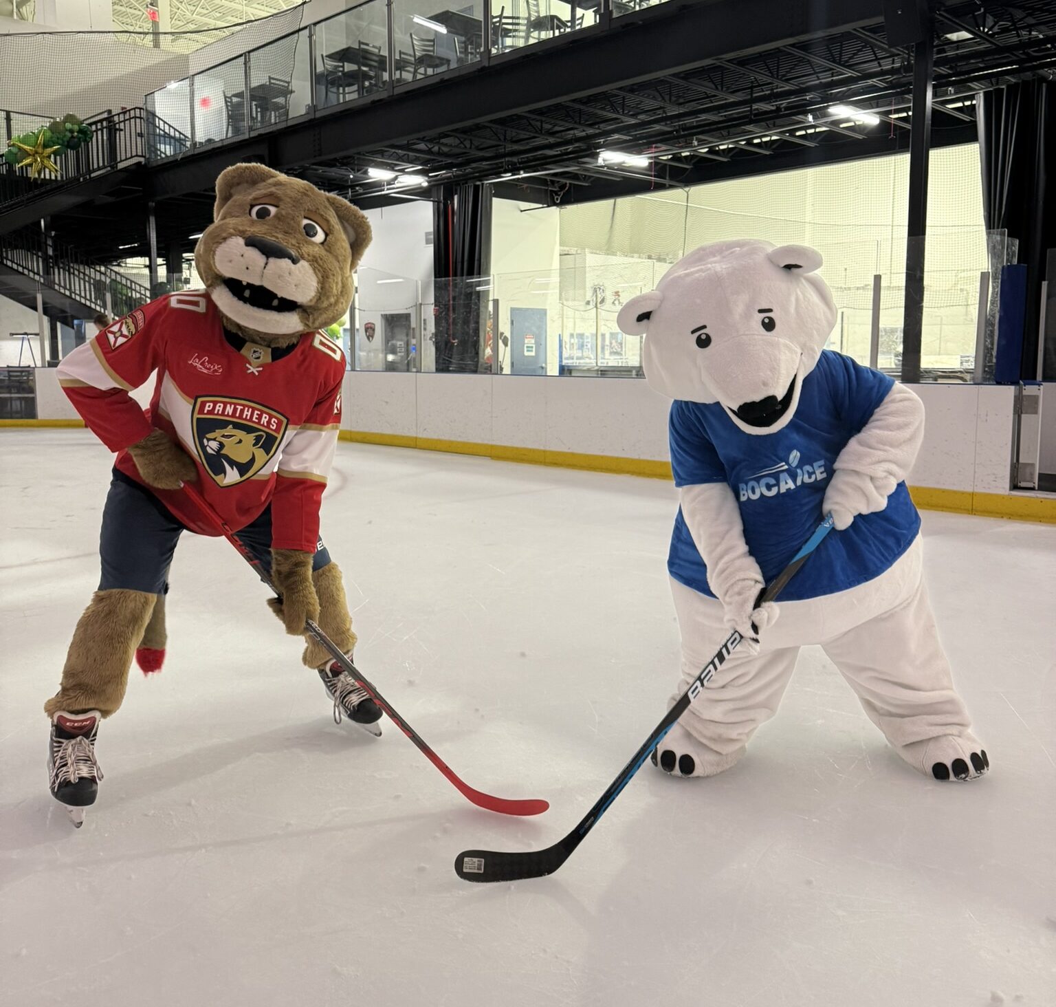 Public skating at Boca Ice